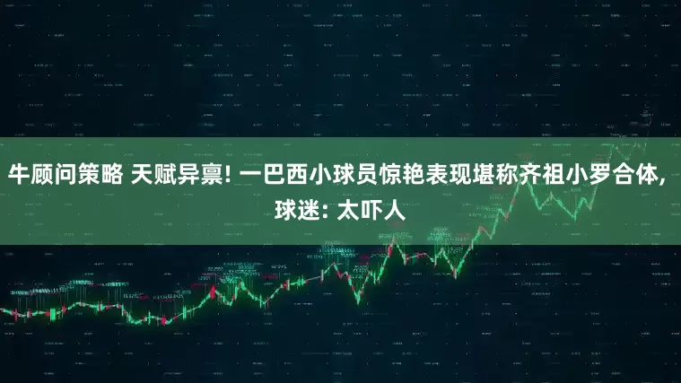 牛顾问策略 天赋异禀! 一巴西小球员惊艳表现堪称齐祖小罗合体, 球迷: 太吓人