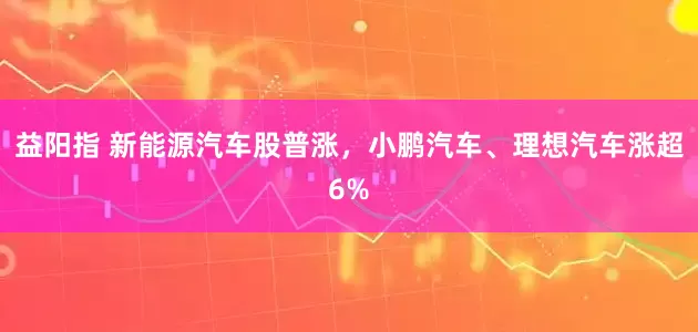 益阳指 新能源汽车股普涨，小鹏汽车、理想汽车涨超6%