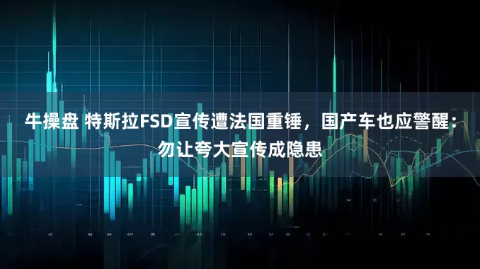 牛操盘 特斯拉FSD宣传遭法国重锤，国产车也应警醒：勿让夸大宣传成隐患