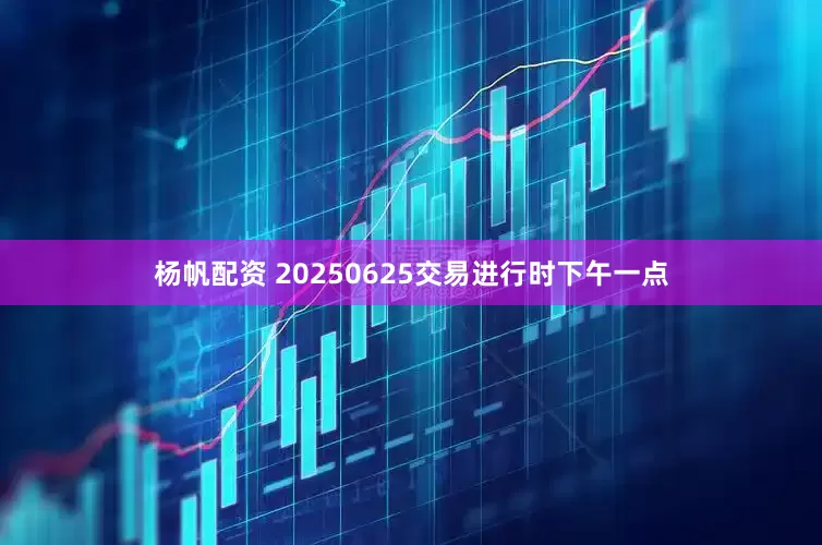 杨帆配资 20250625交易进行时下午一点