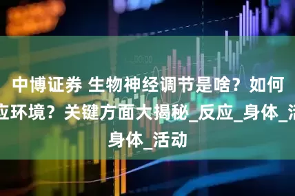 中博证券 生物神经调节是啥？如何适应环境？关键方面大揭秘_反应_身体_活动