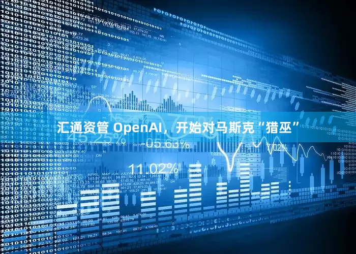 汇通资管 OpenAI，开始对马斯克“猎巫”
